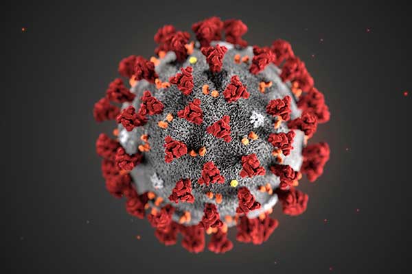 Coronavirus : Activer les plans de continuité